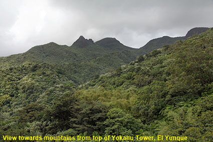 View towards mountains from top of Yokahu Tower, El Yunque, PR, USA